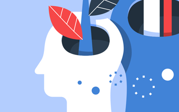 Gray Divorce: Splitting Up Later in Life